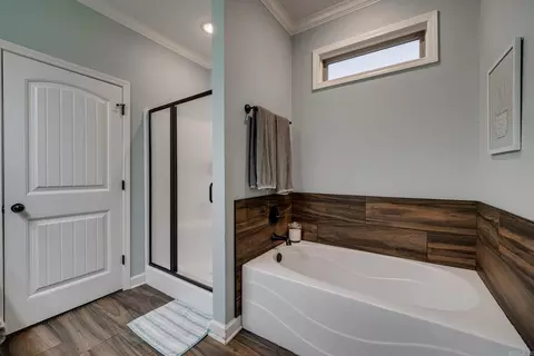 Bath - 794 Mango Loop, Austin, AR 72007 photo 3 of 4