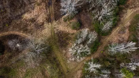 0000 Hwy 321, Beebe, AR 72012 photo 4