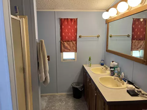 239 Martha Ln, Bismarck, AR 71929 photo 12