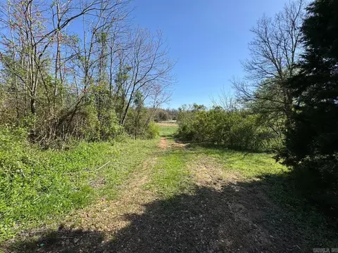 Other - 95 Terrafirma Ln, Ash Flat, AR 72513 photo 11 of 14