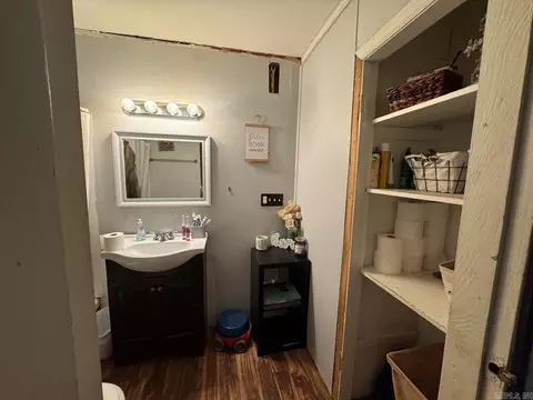 Bath - 95 Terrafirma Ln, Ash Flat, AR 72513 photo 2 of 3