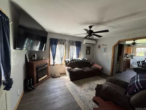Living - 95 Terrafirma Ln, Ash Flat, AR 72513 photo 3 of 4