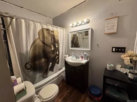 Bath - 95 Terrafirma Ln, Ash Flat, AR 72513 photo 3 of 3