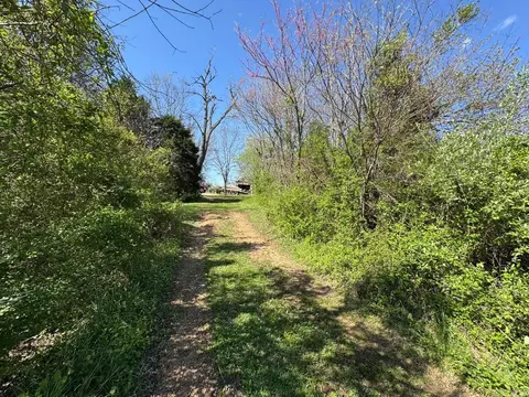 Exterior - 95 Terrafirma Ln, Ash Flat, AR 72513 photo 12 of 12