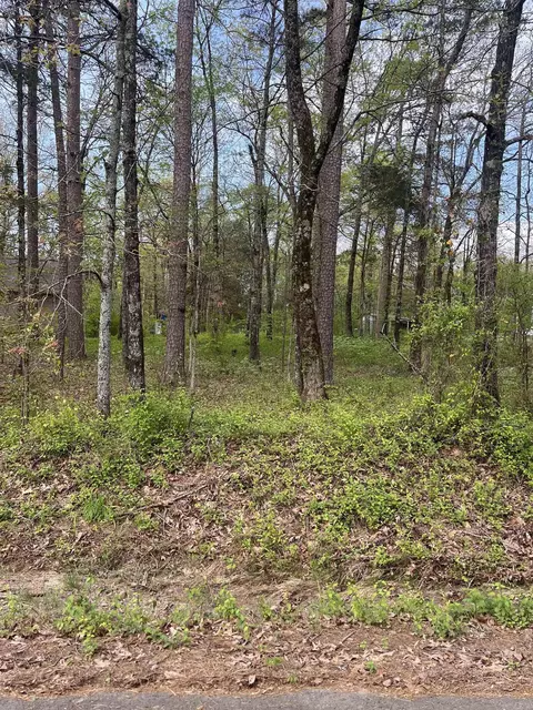 lot Apt 2 Lynch Rd, Clinton, AR 72013