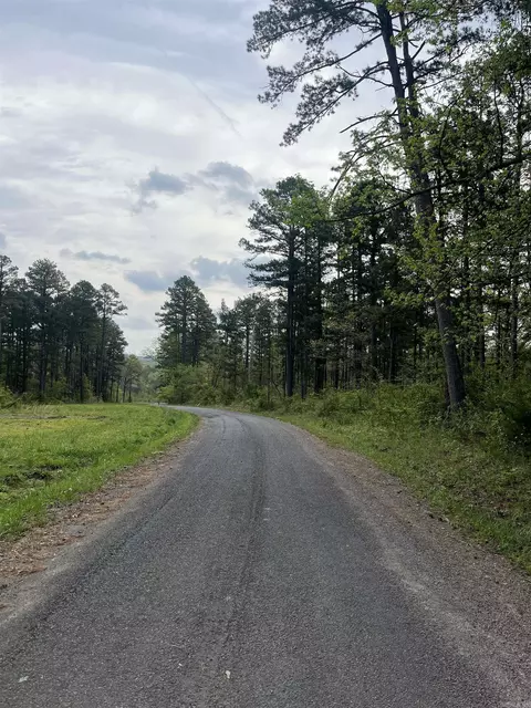 lot Apt 2 Lynch Rd, Clinton, AR 72013 photo 3