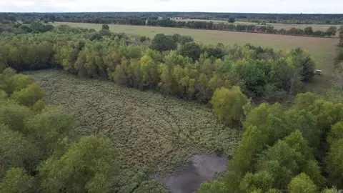 tbd Lr 21, Ashdown, AR 71822 photo 29