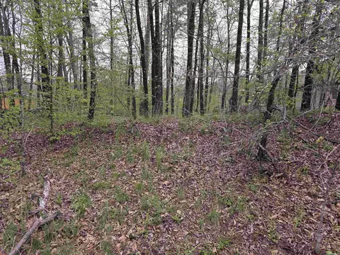 lot2238 Plum Holw, Hot Springs, AR 71913