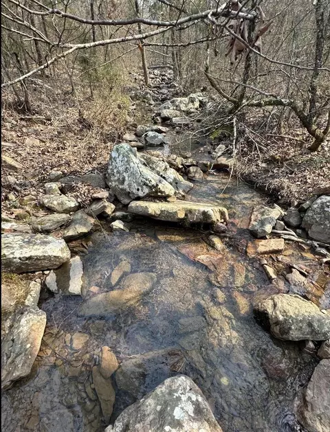 Cold Springs Road, Waldron, AR 72958