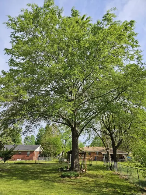 600 N Hickory, Beebe, AR 72012 photo 27