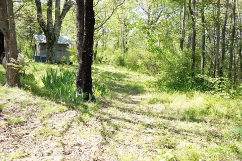 Exterior - 103 E Fair St, Marshall, AR 72650 photo 3 of 10