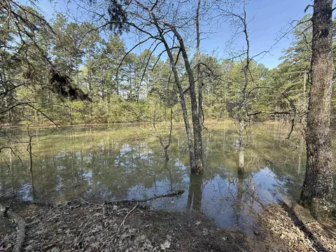 1314 Shoemaker Rd, Violet Hill, AR 72584