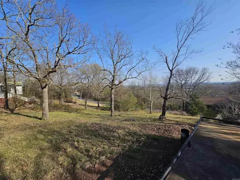 2 Cougar Trl, Conway, AR 72032 photo 6