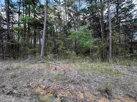 lot89 Betty Owens, Higden, AR 72067
