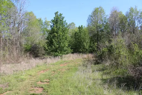 Albert Pike Road, Royal, AR 71968 photo 5