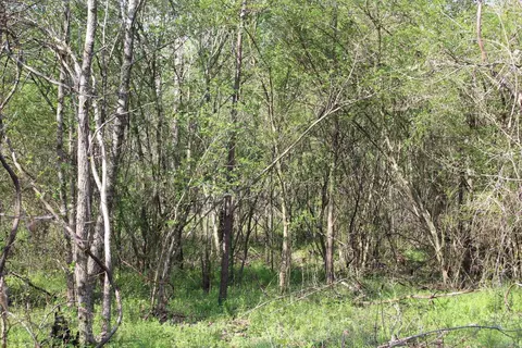 Albert Pike Road, Royal, AR 71968 photo 3