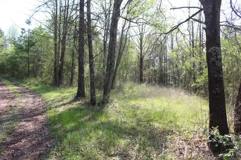 Albert Pike Road, Royal, AR 71968 photo 6