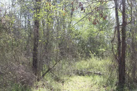 Albert Pike Road, Royal, AR 71968 photo 2
