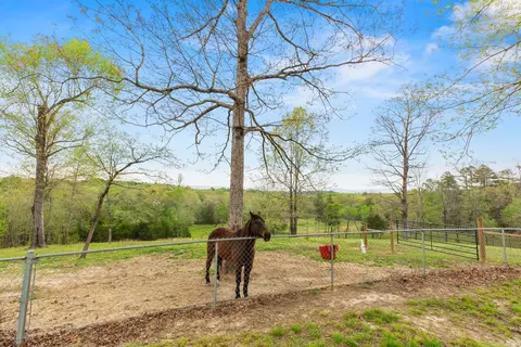263 Polk Road 39, Mena, AR 71953 photo 19