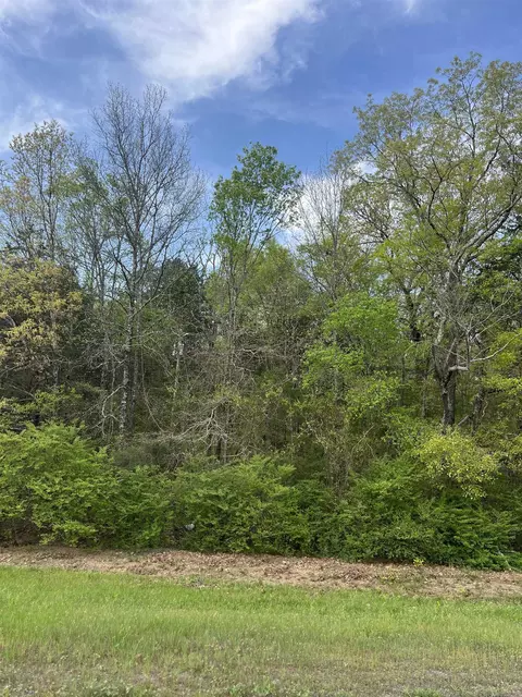 lot3 Lynch Rd, Clinton, AR 72031