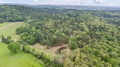 907 Smoke Tree Rd, Dover, AR 72837 photo 46
