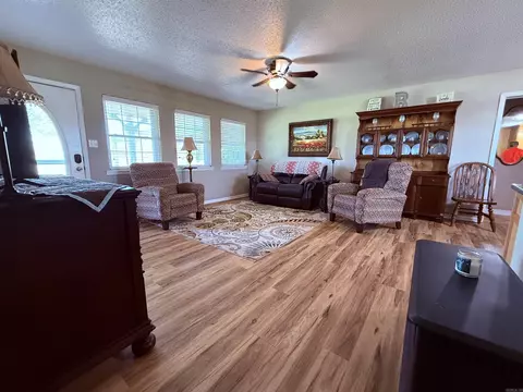 894 Statler Ln, Ash Flat, AR 72513 photo 5