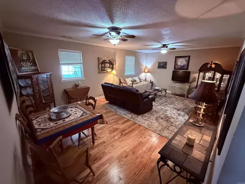 894 Statler Ln, Ash Flat, AR 72513 photo 9