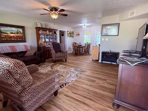 894 Statler Ln, Ash Flat, AR 72513 photo 6