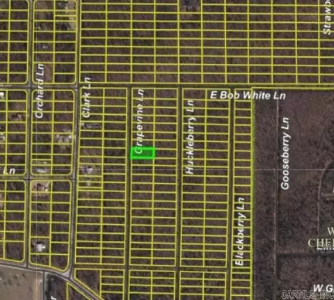 1206 Grapevine Ln, Horseshoe Bend, AR 72512