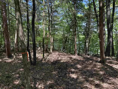 174 Danny Dr, Clinton, AR 72031 photo 7