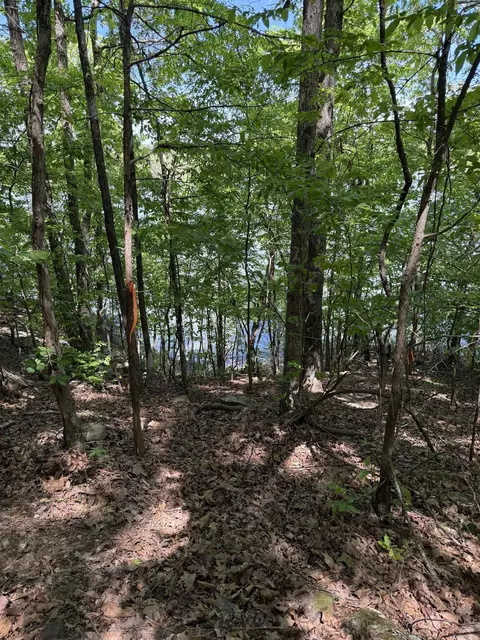 174 Danny Dr, Clinton, AR 72031 photo 9