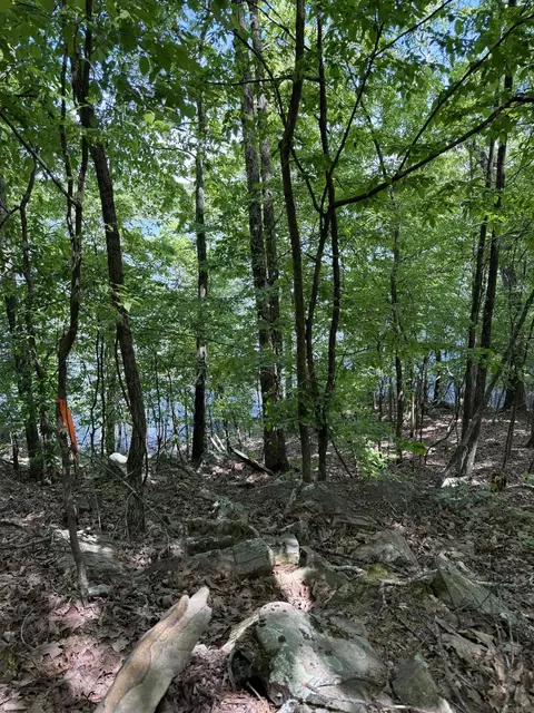 174 Danny Dr, Clinton, AR 72031 photo 8