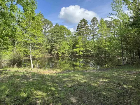 View/Area - 4367 West Rd, Mount Pleasant, AR 72561 photo 1 of 5
