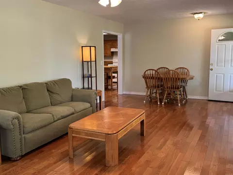884 Lakehill Ln, Peel, AR 72668 photo 6