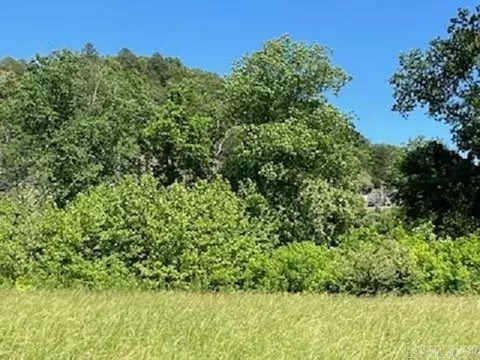 lot27 Mcphearson Ter, Norfork, AR 72657 photo 4