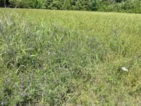 lot27 Mcphearson Ter, Norfork, AR 72657 photo 12