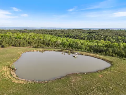 5153 E Mountain Rd, Bee Branch, AR 72013 photo 37