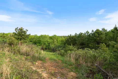 5153 E Mountain Rd, Bee Branch, AR 72013 photo 30