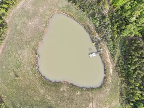 5153 E Mountain Rd, Bee Branch, AR 72013 photo 38