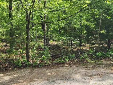 Paiute Drive, Cherokee Village, AR 72529