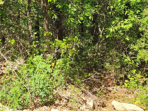 Strawberry Valley Road, Ash Flat, AR 72513