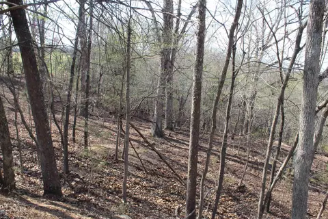 151 Vance Rd, Peel, AR 72668 photo 17