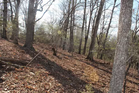 151 Vance Rd, Peel, AR 72668 photo 12