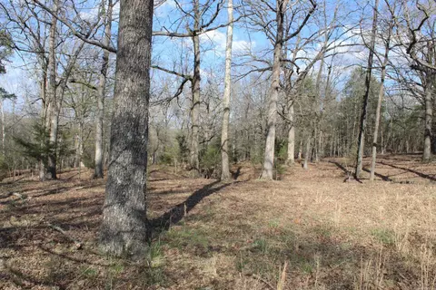 151 Vance Rd, Peel, AR 72668 photo 41