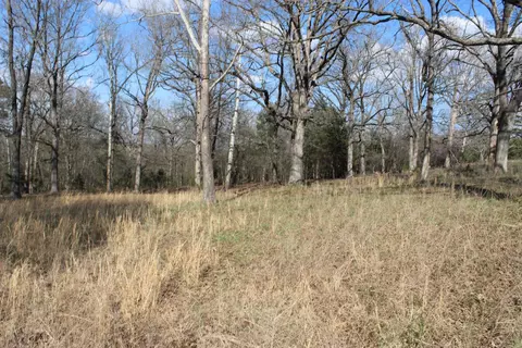 151 Vance Rd, Peel, AR 72668 photo 40