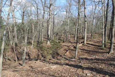 151 Vance Rd, Peel, AR 72668 photo 11