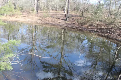 151 Vance Rd, Peel, AR 72668 photo 24
