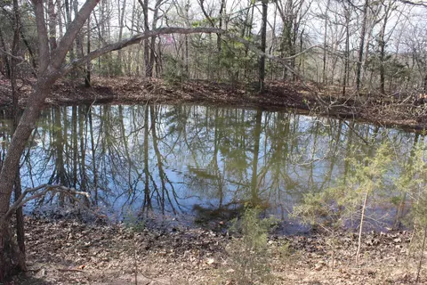 151 Vance Rd, Peel, AR 72668 photo 43
