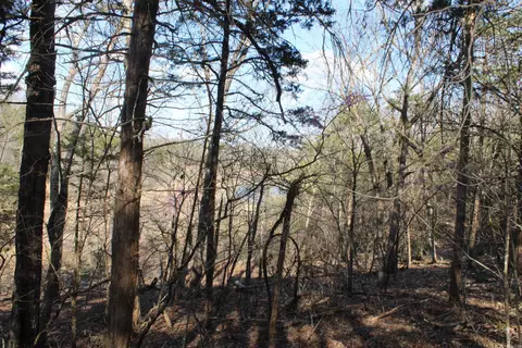 151 Vance Rd, Peel, AR 72668 photo 15