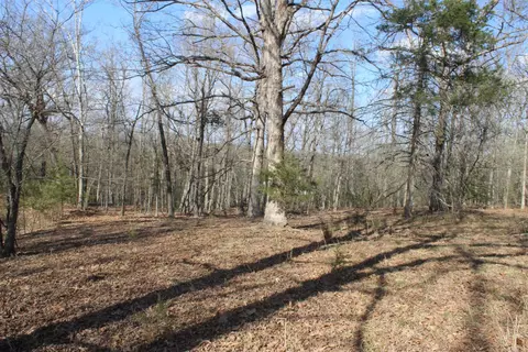 151 Vance Rd, Peel, AR 72668 photo 42